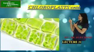 Chloroplast Lecture31 Cell Biology Other Plastids [upl. by Antonie]