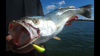 S2 EP 2 WILD WEAKFISHING BARNEGAT BAY SLAMBOREE SALTWATER UNDERGROUND [upl. by Orvas]