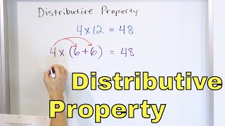 Algebra Basics The Distributive Property  Math Antics [upl. by Strickland]