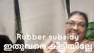 Rubber Subsidy Rubber കർഷകർക്ക് ആശ്വാസമായി Subsidy എത്തി [upl. by Potts980]