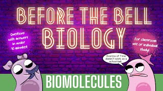 Biomolecules Before the Bell Biology [upl. by Janella]