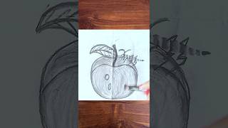 How to draw apple 🍎 sketch drawingarttrendingshorts viralshortsshortsyoutubeappleshortfeed [upl. by Nomzed]