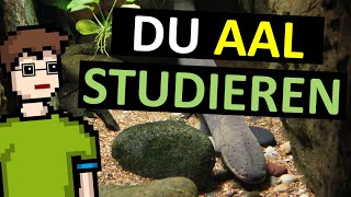 Duales Studium der Informatik [upl. by Dinerman913]