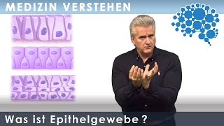 Was ist Epithelgewebe │Dr Dr Damir del Monte│Encephalon Medizin Videos bei Lecturio [upl. by Ayet]