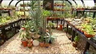 Jeff Pavlat succulent garden design Central Texas Gardener [upl. by Nigel]