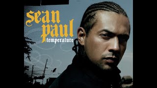 Sean Paul  Temperature  Afro Remix [upl. by Kacy799]