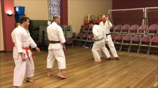 Red Dragon Karate  Practising strikes from Rick Hotton Sensei Seminar UK 2017 [upl. by Hallvard229]