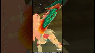 Clouet Thunder Animation  Monster Hunter Riders [upl. by Ahsiek]