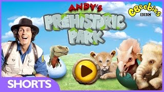 CBeebies Games  Andys Prehistoric Park [upl. by Solraced]