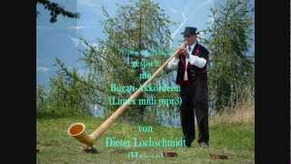 quotKimmt schen hoamli die Nochtquot Melodie Wastl Fanderl  Alphornklang mit Akkordeon LimexMidi [upl. by Claudius453]