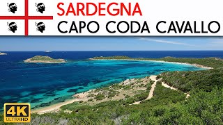 SARDEGNA  Capo Coda Cavallo [upl. by Ehtyde]