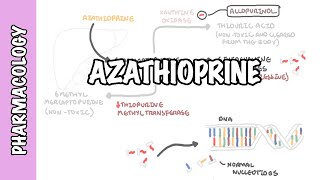 Azathioprine  Pharmacology mechanism of action side effects [upl. by Anreval]