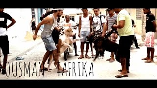 Ousman  Tafrika Official Video [upl. by Irac]