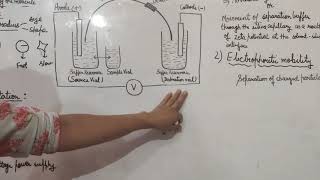 Capillary electrophoresisPart 1 [upl. by Drofliw]