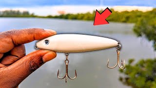 Snook Fishing Florida Boat Ramps With This Classic Lure [upl. by Rubina]