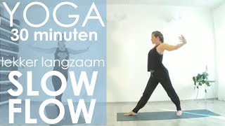 Yoga Slow Flow  lekker langzaam  30 minuten  EsTaYoga [upl. by Kwei]