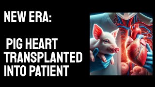 Pig Heart Transplanted into Patient [upl. by Ardisi]