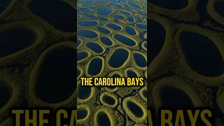 Evidence of an Ancient Catastrophe Carolina Bays mystery history ancient joerogan shorts jre [upl. by Hathaway455]