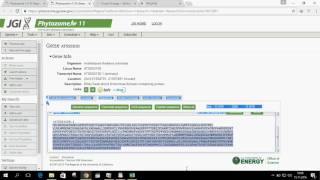 How to calculate KaKs values of ortholog proteins [upl. by Anola822]