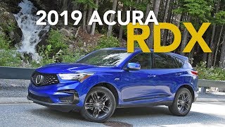 2019 Acura RDX Review Craig Cole Makes Some Puns [upl. by Ryhpez]