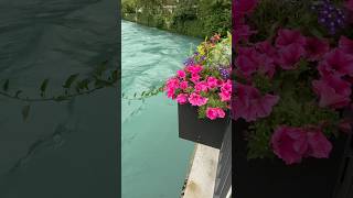 Don’t mess to visit these places in Interlaken  river interlaken shorts mountains swissnature [upl. by Loos]