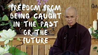 Freedom from Being Caught in the Past or the Future  Dharma talk by Thich Nhat Hanh 20140726 [upl. by Gnaig350]