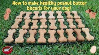 How to make healthy Peanut Butter Biscuits for your dog [upl. by Childs608]