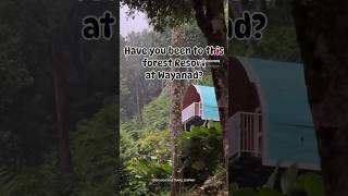 FOREST RESORT AT WAYANAD  RESORTS IN WAYANAD  call 8086000263 book vacations travel company [upl. by Morvin964]