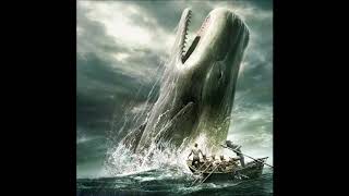 Moby Dick by Herman Melville 23 audiobook [upl. by Beltran]