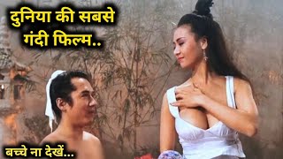 A Chinese Story 1991 Full hollywood Movie explained in Hindi  Fm Cinema Hub [upl. by Marji]