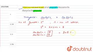 A trihybrid cross is made between two yeasts both with genotypes AsBbCc What p [upl. by Skier]