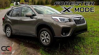 Subaru Forester Testing Xmode Offroad in realworld test [upl. by Anot93]