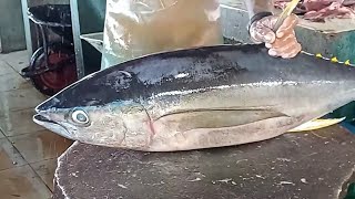 Fantastic Skills of cutting tuna at Puri Bridge Fish Market Live 06 Nov 24 [upl. by Adnolehs]