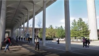 SUNY at Albany  5 Things to Avoid as a Student [upl. by Noit]