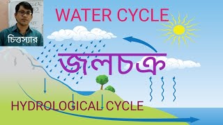 জলচক্রপানিচক্রWATER CYCLEHYDROLOGICAL CYCLE Class10 WBBSECRD GEOGRAPHY CLASSWorks of River [upl. by Asiak]