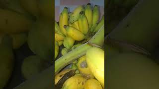 Saging viralvideo shortvideo saging [upl. by Ashely27]