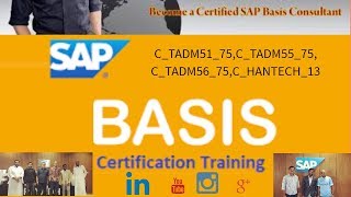 SAP BASISS4 HANA Administration How to Configure the TMS  TDC TG  Transport Routes PART6 [upl. by Atinrahc]