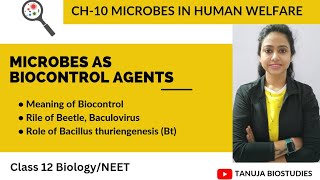 Ch10 Microbes in Human Welfare  Microbes as Biocontrol Agents  Class 12 BiologyNEETAIIMS [upl. by Newra]