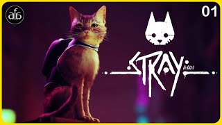 Stray Episode 01  4K UHD  PC Gameplay Walkthrough  AFa Gaming  No Commentary [upl. by Fachanan]