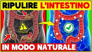 Come Pulire lIntestino In Modo Naturale a Casa  Pulizia e Detox Intestinale Verità e Falsi Miti [upl. by Esther471]