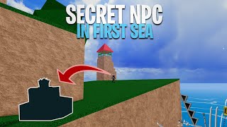 4 SECRET NPC In The First Sea That You Have MISSED  Blox Fruits [upl. by Elata]