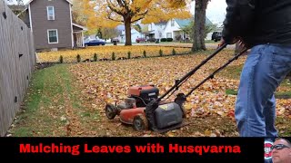 Mulching the Leaves with Husqvarna [upl. by Acinomal]