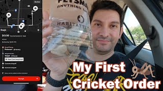 My First Cricket Order  Gig Work [upl. by Christoffer]