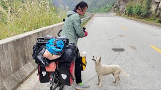 quotIf you follow us to campsiteIll take you inquotA stray dog followed a cycling couple for over 200 km [upl. by Jacobba]