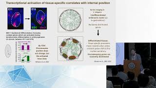 DNA damage response and repair  2024 Genome Architecture and Function Workshop [upl. by Bonita]