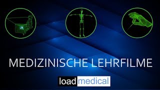 Familientherapie  Der Streit  einfach und verständlich erklärt [upl. by Annatnas]