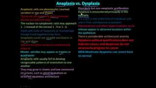 114P Anaplasia vs Dysplasia [upl. by Annay279]