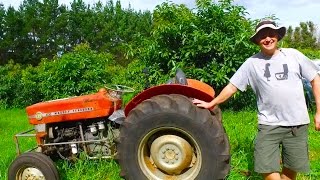 My brothers 1965 Massey Ferguson 135 Tractor [upl. by Acirrehs]