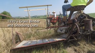 Binding sheaves of oats for stooking and drying with a 1920s Grain Binder [upl. by Nivre773]