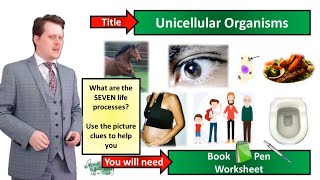 Unicellular Organisms  Biology  KS3  Key Stage 3  Mr Deeping [upl. by Ennahgem391]